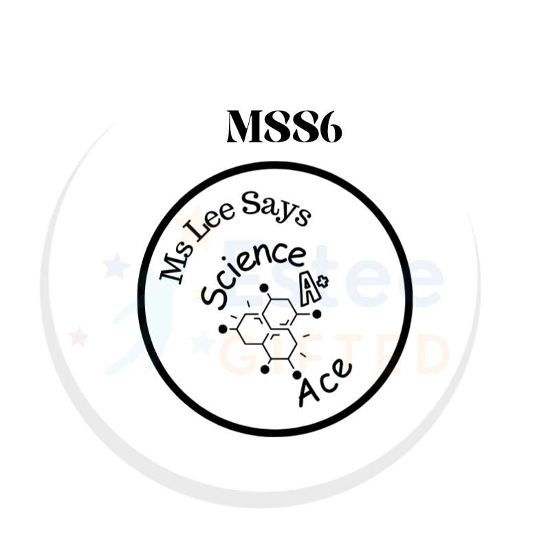 Customised Science Motivational Teacher Stamp | 6 C.E.R. Themed Stamps | Self-Inking | 30mm x 28mm