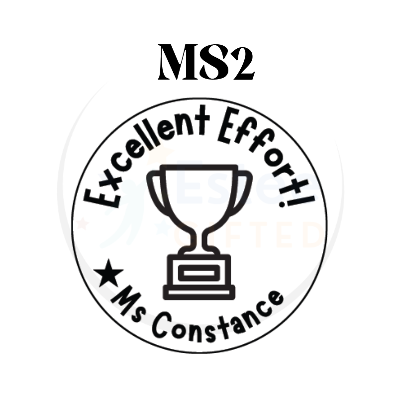 Custom Motivational Stamps for Teachers | Fun & Effective Self-Inking Stamp | 30mm x 28mm | Personalised with Name