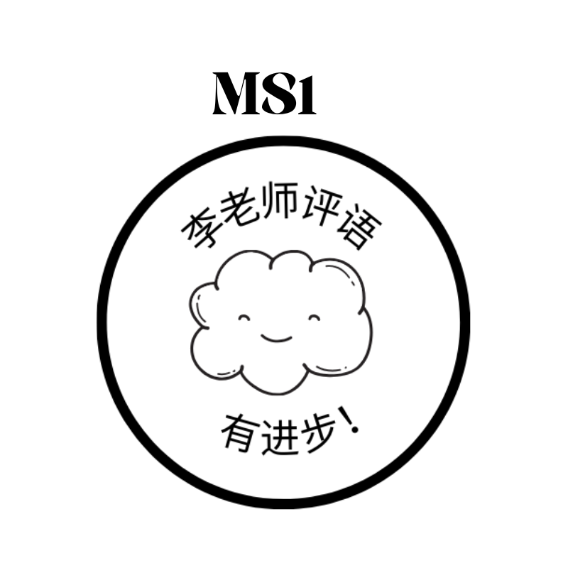 Custom Chinese Teacher Stamps | Fun & Encouraging Self-Inking Stamp | 28mm x 33mm | Personalised with Name